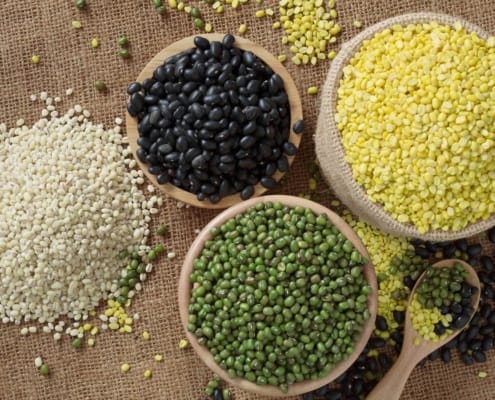 plant-based proteins plant proteins beans hemp peas functional ingredients
