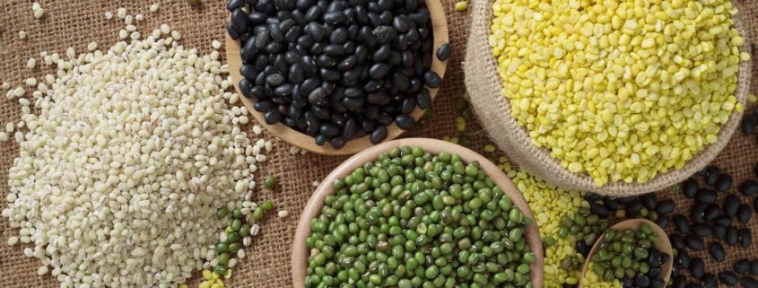 plant-based proteins plant proteins beans hemp peas functional ingredients