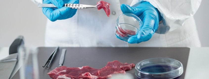 Almost Half of Americans Are Willing to Try Cultured Meat