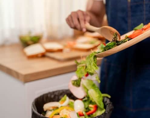Food Waste at Home