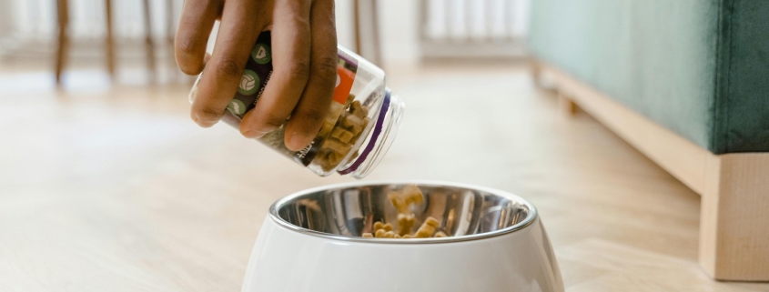 This photo features supplements for dogs being poured into a dog bowl