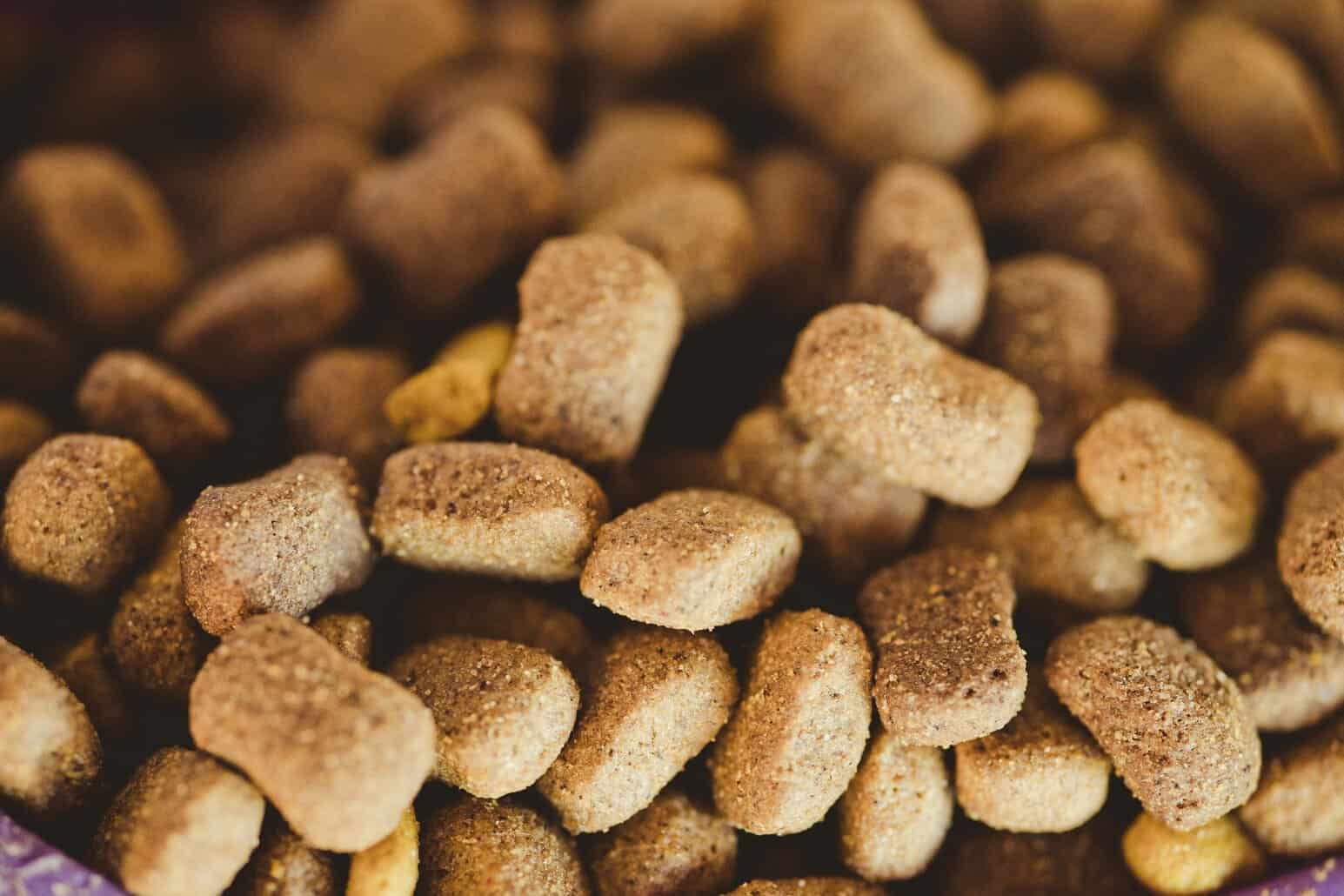 This photo features dog food enriched with vegetable powder for maximum nutrition