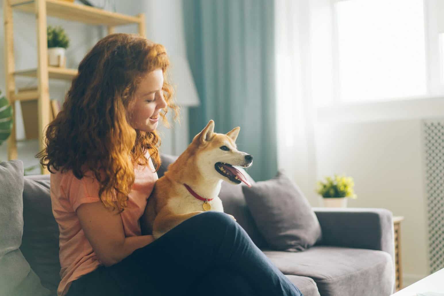 The image shows a woman holding a very healthy Shiba Inu.