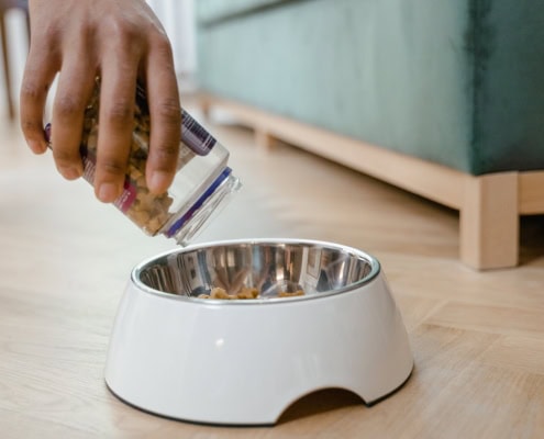 This photo features a dog bowl being filled with dog food
