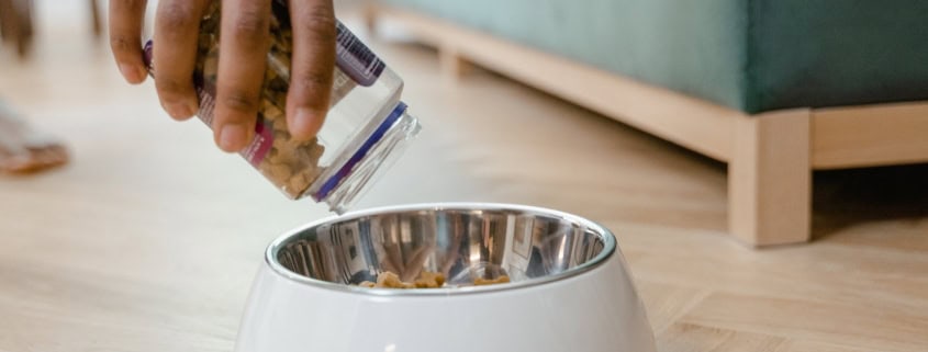 This photo features a dog bowl being filled with dog food